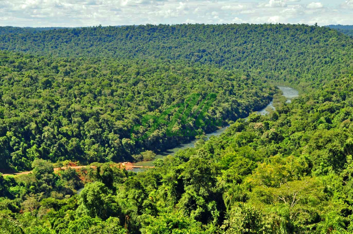 Venta Lote 5.835has. para Reforestacion y Bonos de carbono San Pedro Misiones 