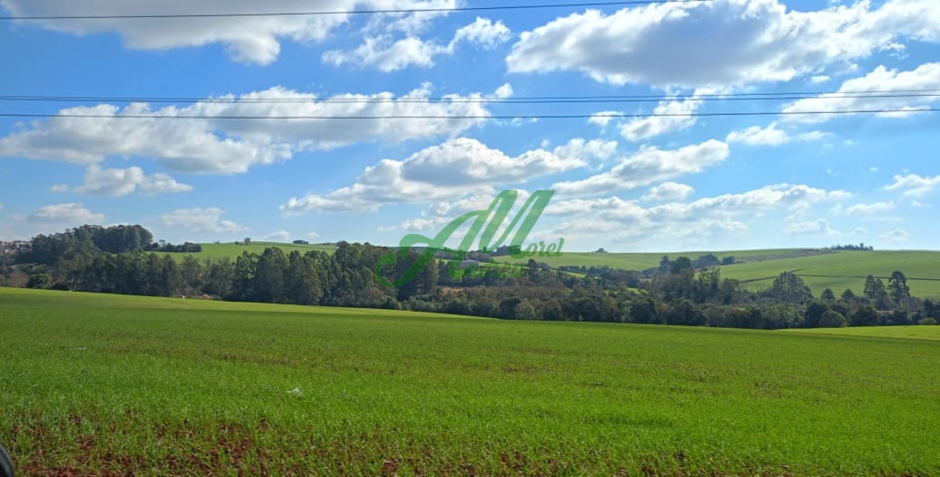 Lote a 200 mtrs. del Rio Uruguay, Apto Cabañas de Descanso o Microemprendimiento Turistico