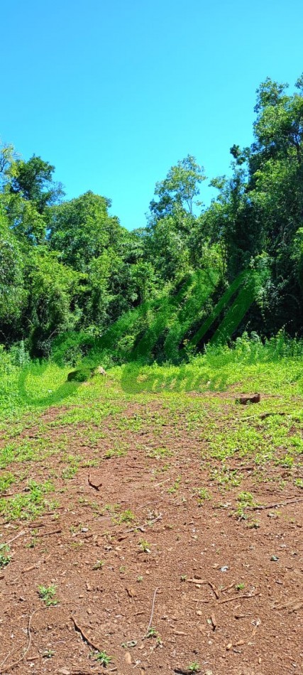 Venta Lote 5.835has. para Reforestacion y Bonos de carbono San Pedro Misiones 