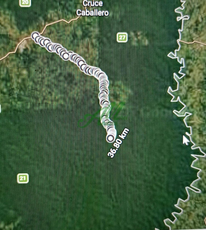Venta Lote 5.835has. para Reforestacion y Bonos de carbono San Pedro Misiones 