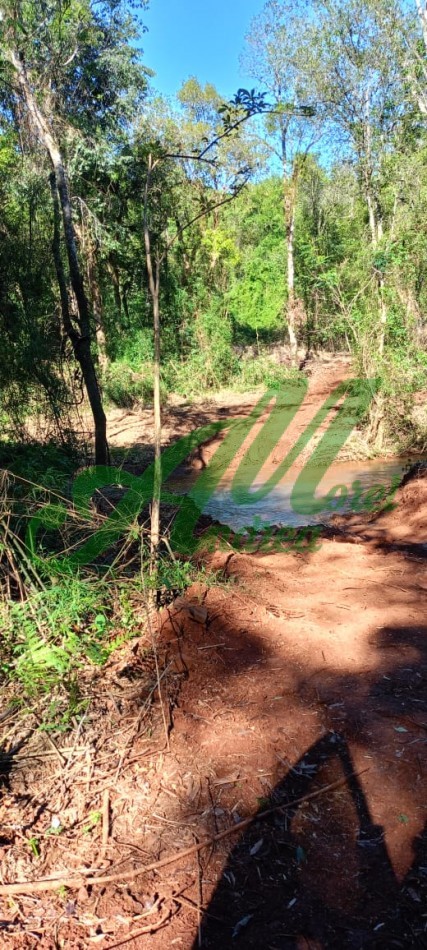 Venta Lote 5.835has. para Reforestacion y Bonos de carbono San Pedro Misiones 