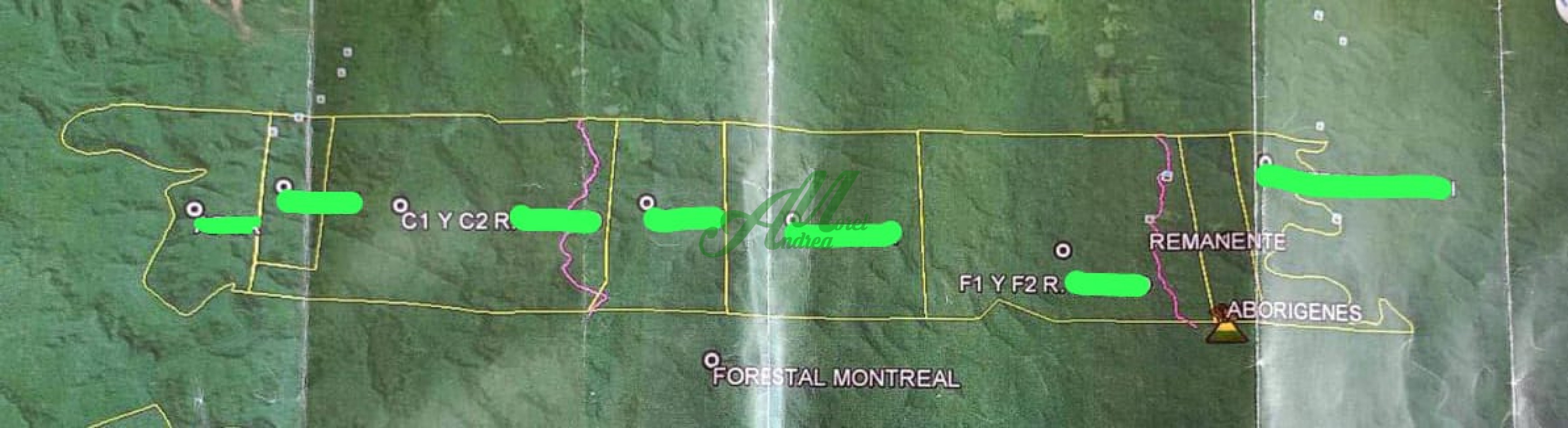 Venta Lote 5.835has. para Reforestacion y Bonos de carbono San Pedro Misiones 