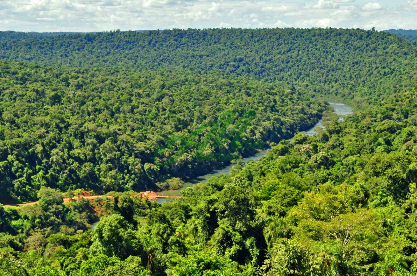 Venta 890 hectareas para Reforestacion y Bonos de carbono Misiones 