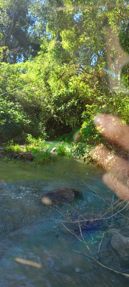 Venta 890 hectareas para Reforestacion y Bonos de carbono Misiones 