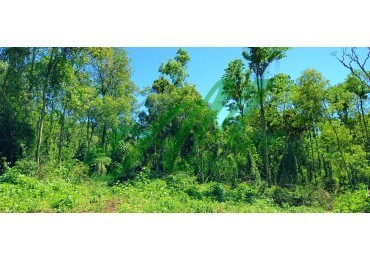 Venta Lote 1.048 has. para Reforestacion y Bonos de carbono San Pedro Misiones 
